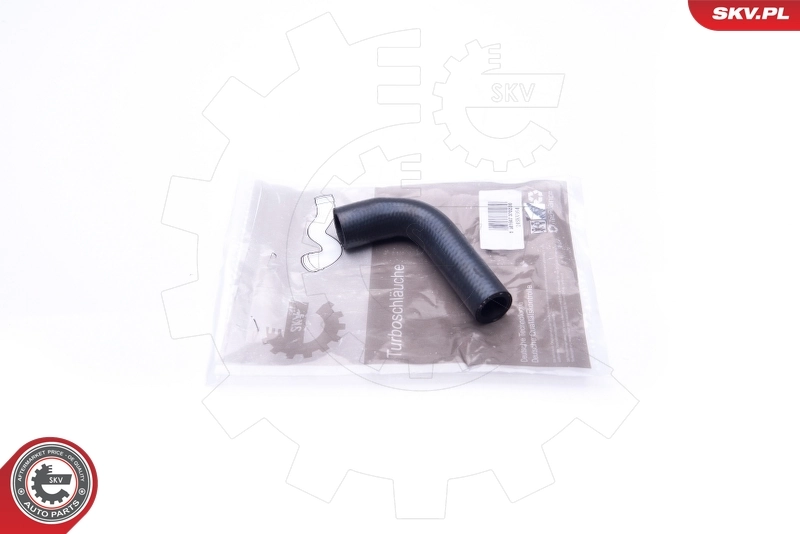 Radiator Hose